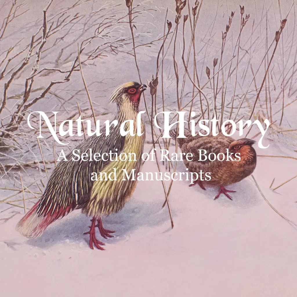 Natural History 2024