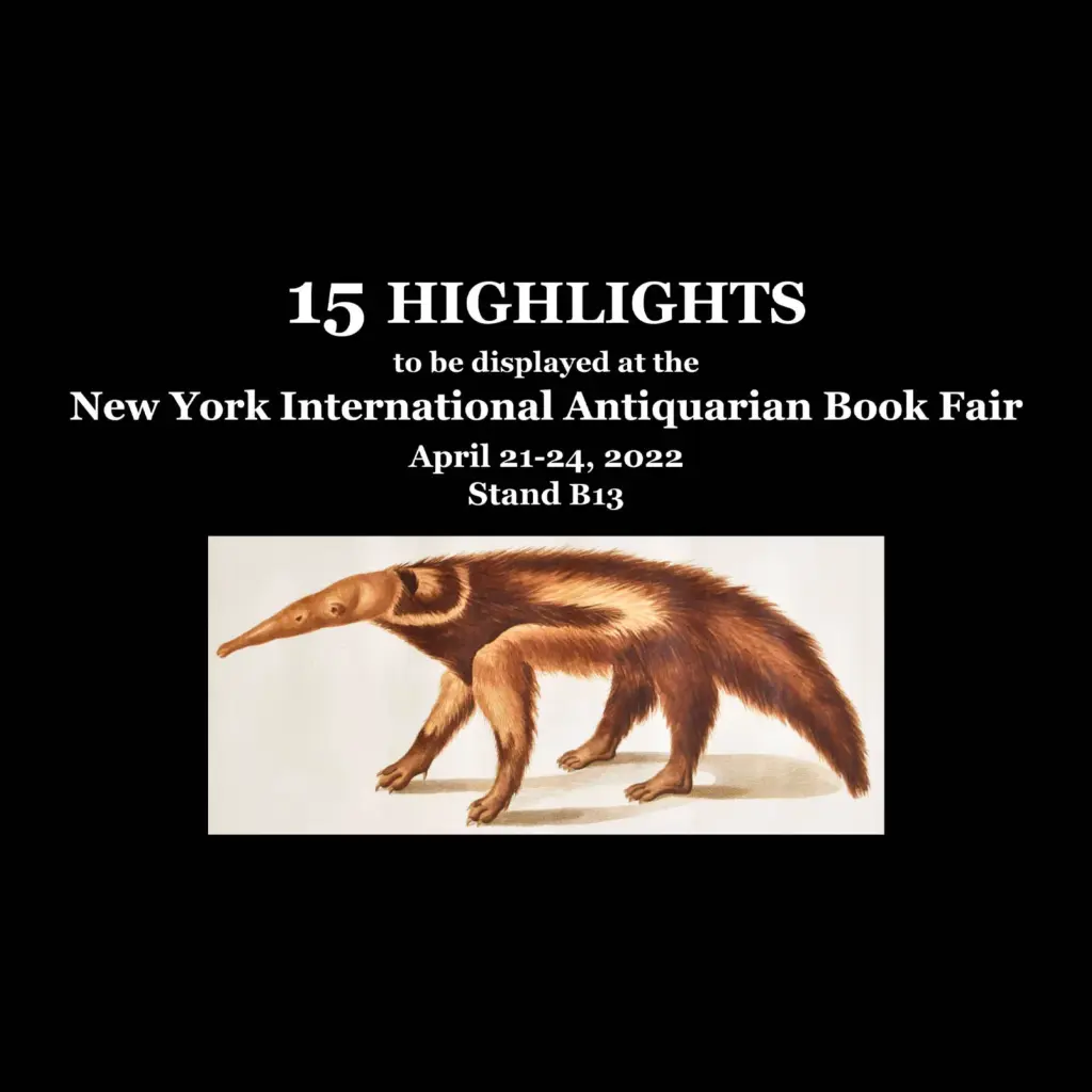 New York Highlights 2022