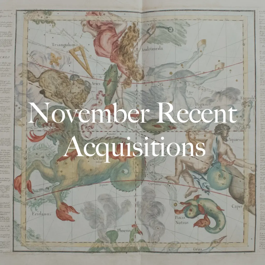 November Acquisitions