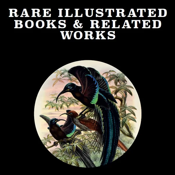 Rare Illustrated Books II